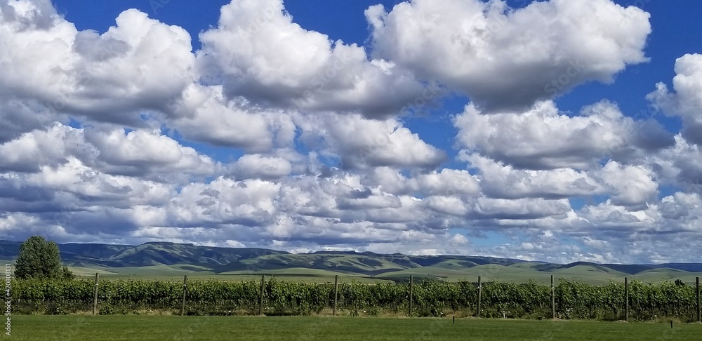 Beautiful clouds and field Beautiful clouds and field