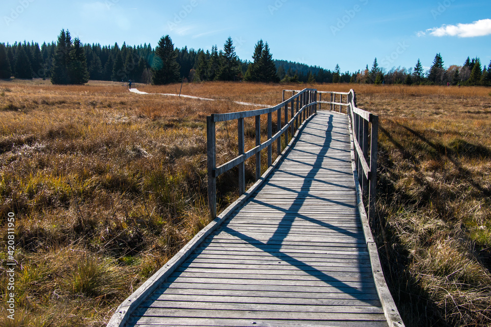 wooden walkway through the peat bog - Boží Dar, Krušné hory, Czech Republic wooden walkway through the peat bog - Boží Dar, Krušné hory, Czech Republic