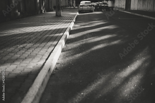 rays of the sun on the asphalt. Black and white photo