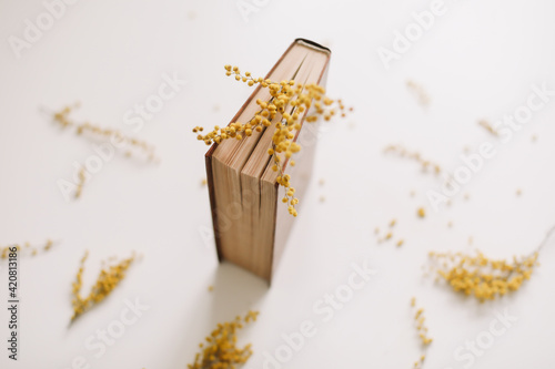  A book with yellow mimosa flowers on a white background