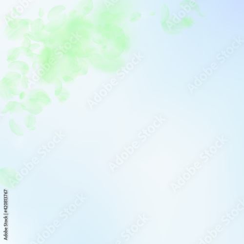 Green flower petals falling down. Gorgeous romanti