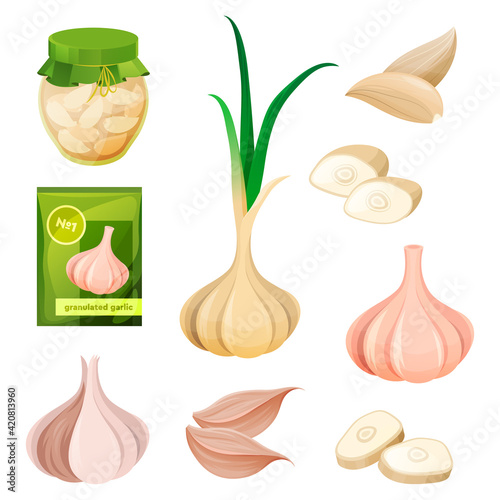 Food from garlic, seasoning spices or vegetable