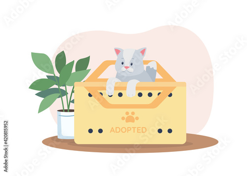 Adopting grey cat 2D vector web banner, poster. Kitten in cardboard box. Rescued homeless pet flat characters on cartoon background. Saved domestic animal printable patch, colorful web element
