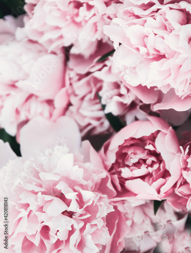 Fototapeta Naklejka Na Ścianę i Meble -  Pastel peony flowers art background. Flowers delivery. Many beautiful and romantic flowers in the flower shop.