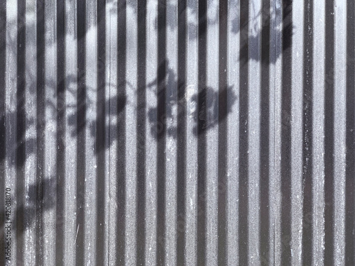 Corrugated Steel Wall With Branch Shadow