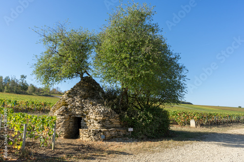 Cadole in vineyard near Les Riceys Champagne France photo