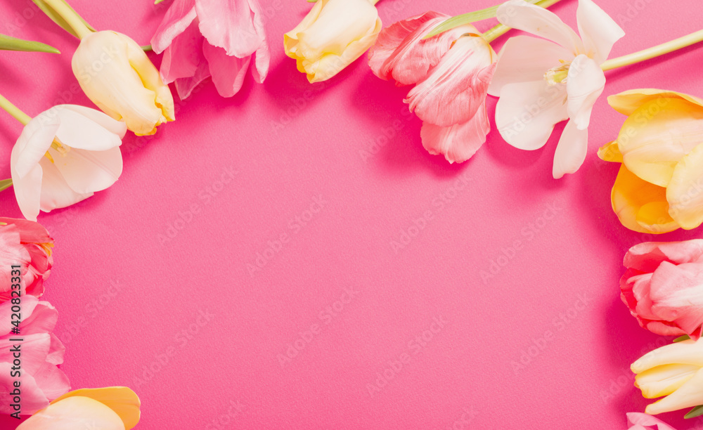 frame of tulips on pink background