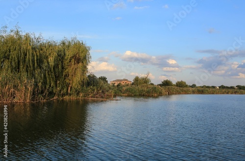 River landscape with willow, abandoned house on the shore and a bridge for fishermen