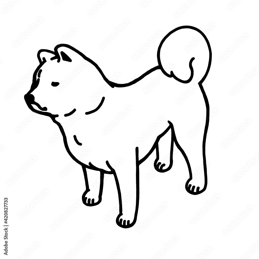 秋田犬(あきたいぬ) 秋田犬(あきたいぬ)