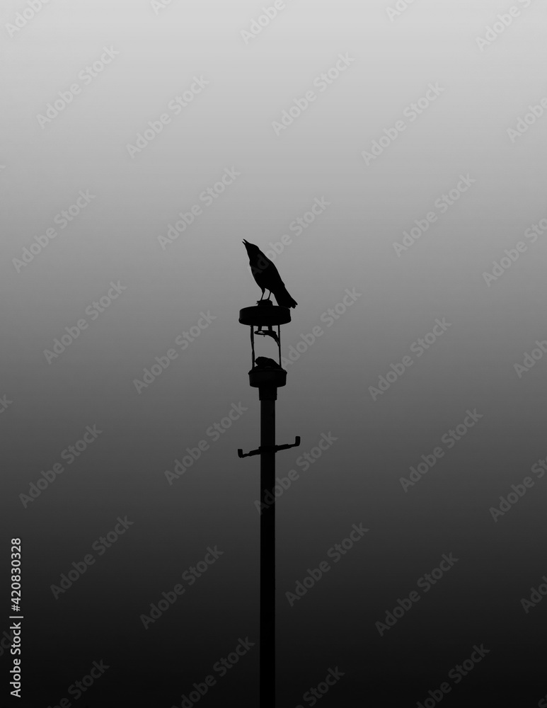 A crow sitting on an old broken lamppost