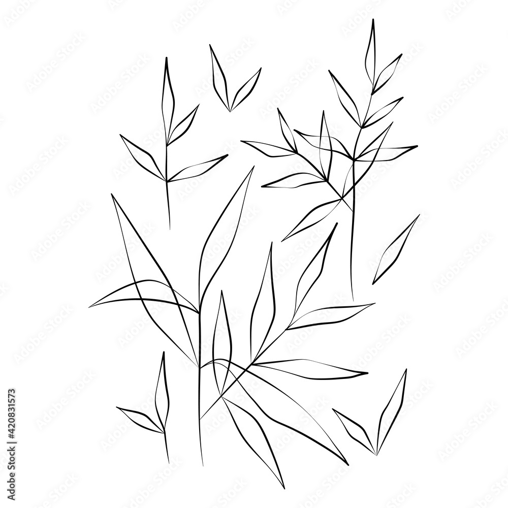 Naklejka premium Vector Illustration of Elegant Botanical Line Art. Good for Cover, Poster, Card, and other.
