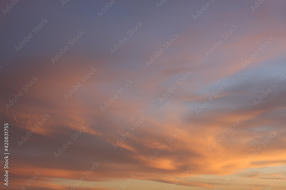 Beautiful tender clouds at the sunset time, sunset sky background