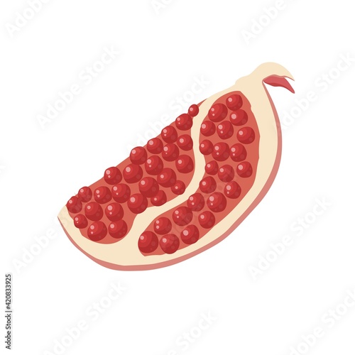 Vector illustration. Ripe fruit red pomegranate, cut half sliced garnet. Isolated on white