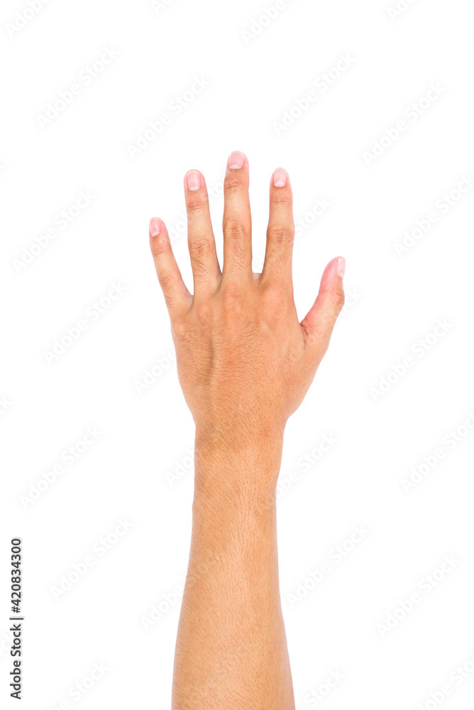 Man Left hand showing the five fingers, Hand held up and fingers outstretched isolated on white background. Man Left hand showing the five fingers, Hand held up and fingers outstretched isolated on white background.