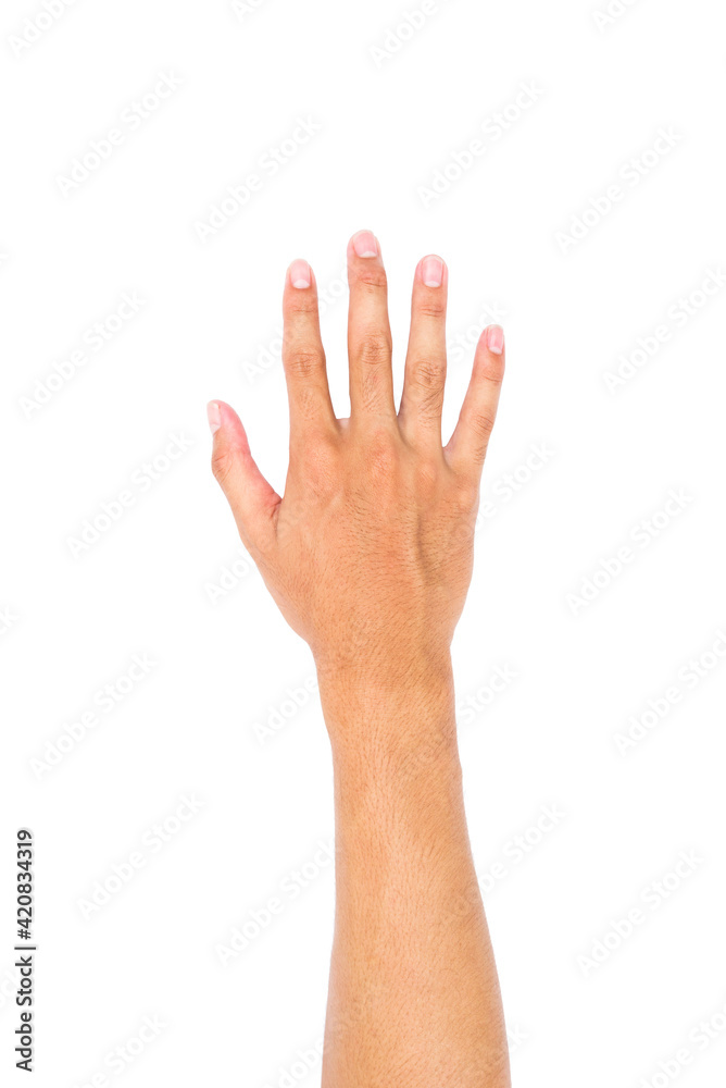 Man Right hand showing the five fingers, Hand held up and fingers outstretched isolated on white background. Man Right hand showing the five fingers, Hand held up and fingers outstretched isolated on white background.