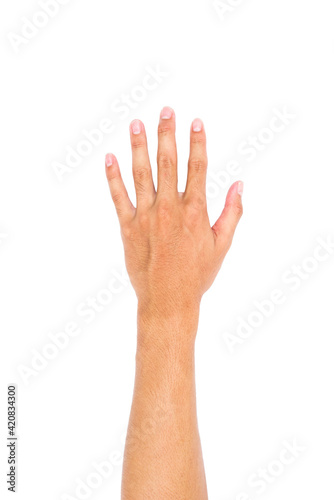 Man Left hand showing the five fingers, Hand held up and fingers outstretched isolated on white background.