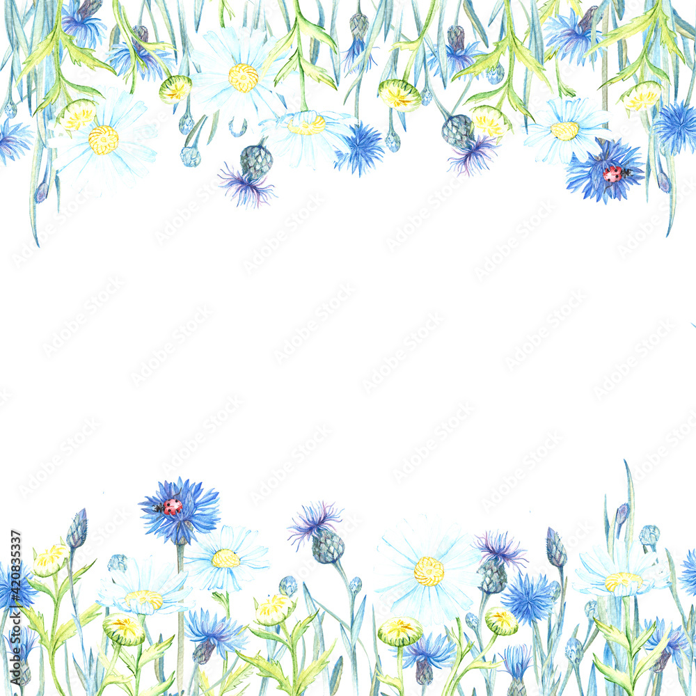square frame of blue, purple cornflowers and daisies square frame of blue, purple cornflowers and daisies