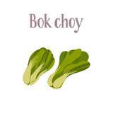 Healthy nutrition product. Fresh Bok choy Pak choi salad.