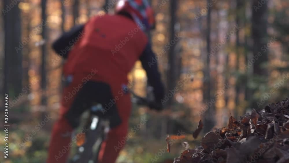 Slow motion, low angle close up of man riding mtb mountain bike through forest leaves, mountain bike trail, downhill, during fall, extreme sport activities 