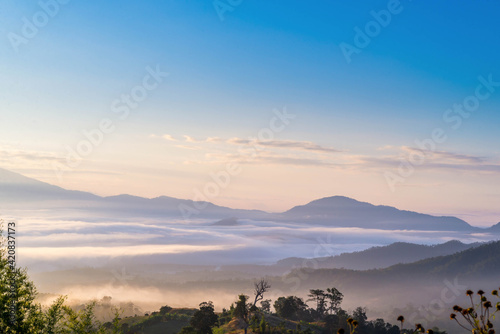 Morning fog faded in the Valley.