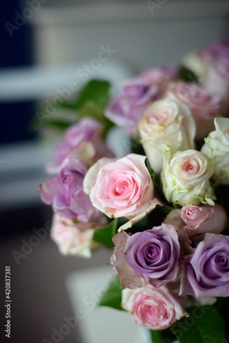 pastel pink and purple roses 
