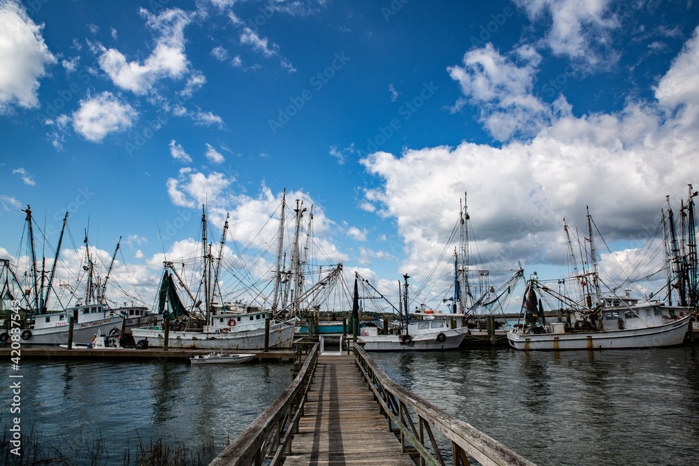 Port Royal, South Carolina, low country, shrimp fishing boats, marina