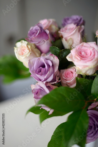 pastel pink and purple roses  © Yuliya