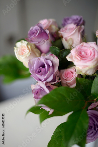 pastel pink and purple roses 