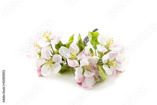 Spring cherry flowers with leaves.