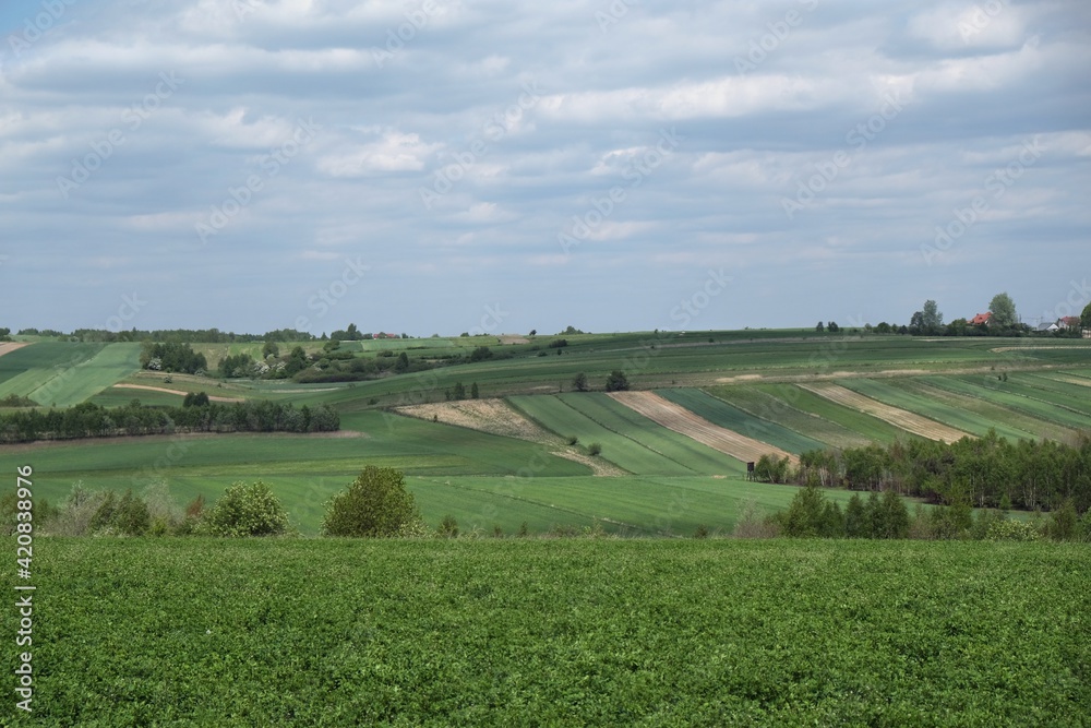 Picturesque fields on the hills in spring day, near the village of Niegowa in  Krakowsko-Częstochowska Upland, Silesia, Poland