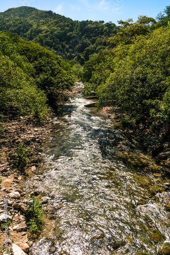 Clear running river surrounded by lush tree foliage, a forest. immersed in nature. background © BlokPhoto