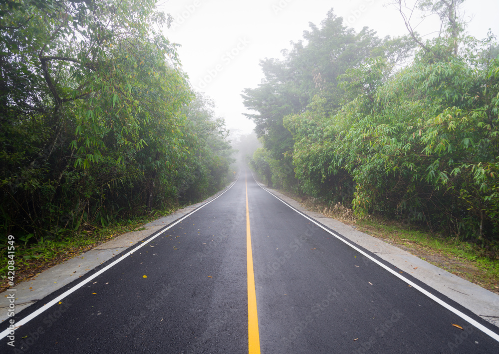 Road in faded fog at Khao Yai National Park, Pak Chong, Nakhon Ratchasima, Thailand.