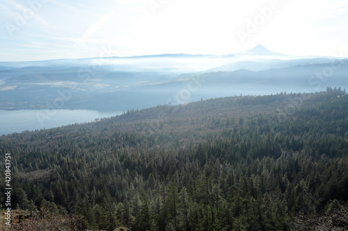 View of the Columbia River Gorge with Mt. Hood, as seen from the Washington state side, on a nice sunny day. 