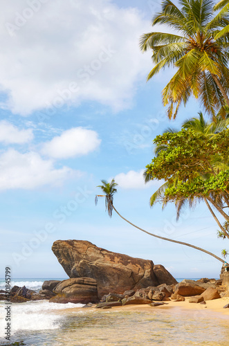 Tropical beach with rocks and palm trees, Sri Lanka.