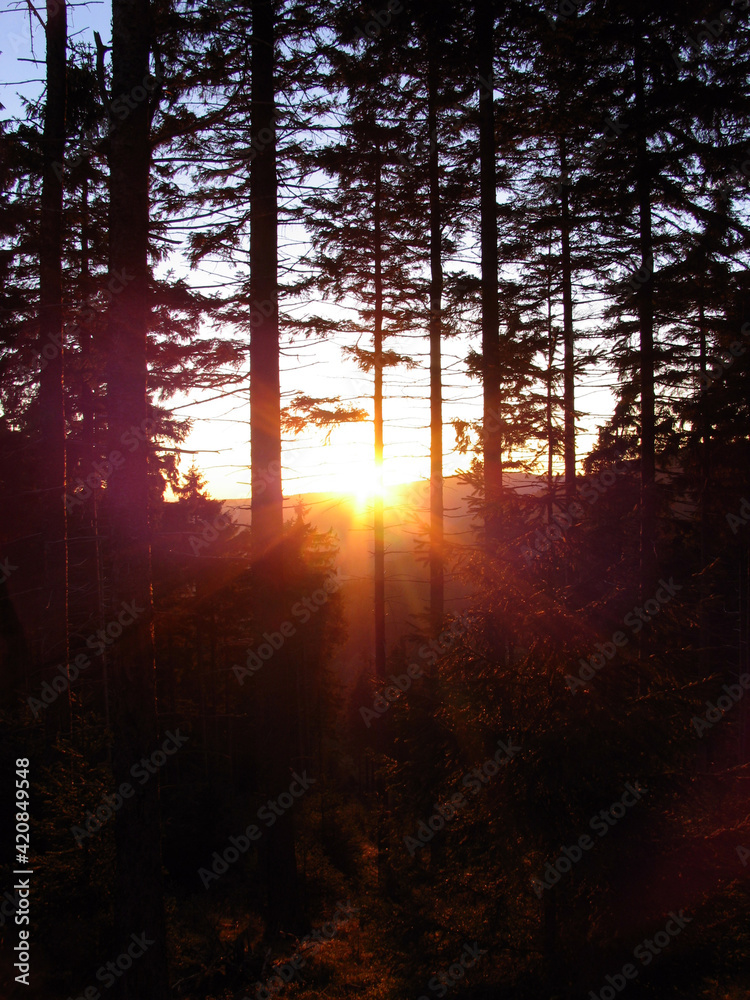 Obraz premium Sonnenuntergang und Abendstimmung, Thueringen, Deutschland, Europa -- Sunset and Evening mood, Thuringia, Germany, Europe
