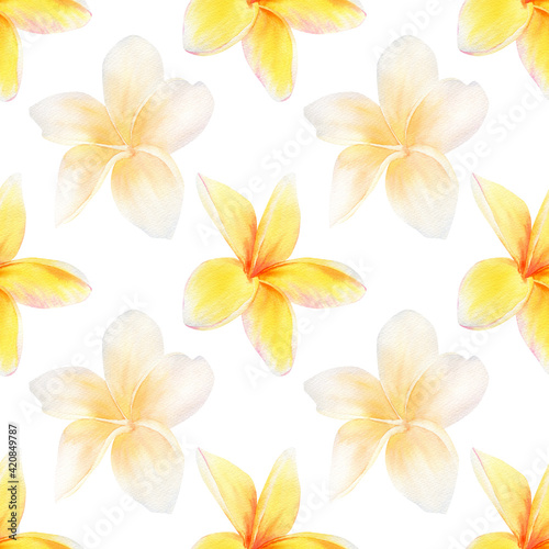Seamless plumeria flowers pattern. Watercolor floral pattern with delicate white, yellow and orange tropical flowers