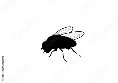 Silhouette Moscerino