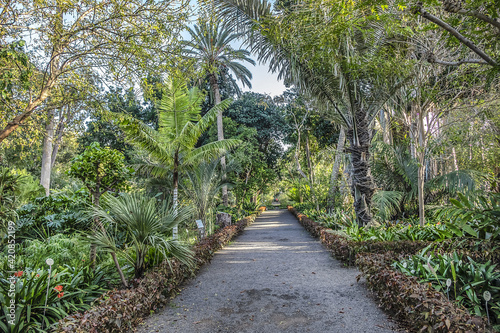Botanical Garden in Puerto de la Cruz. Many exotic tropical and sub-tropical plants are to found within its grounds. Puerto de la Cruz, Tenerife, Canary Islands, Spain.