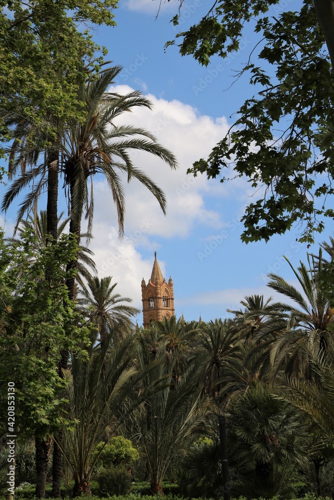 Palm garden of park Villa Bonanno in Palermo, Sicily Italy