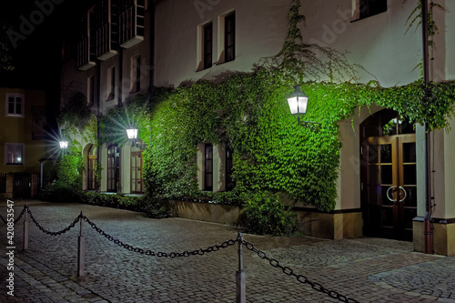 Fototapeta Naklejka Na Ścianę i Meble -  vine on a house wall in the night with streetlamps