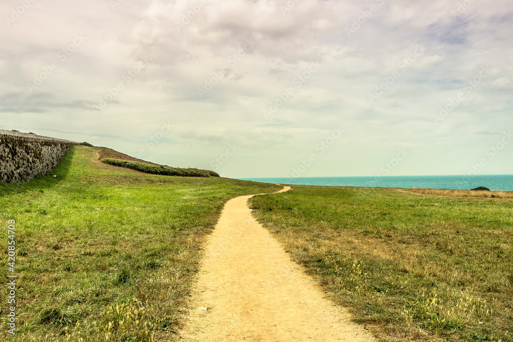 Obraz premium dirt road across a green meadow towards the blue sea. concept