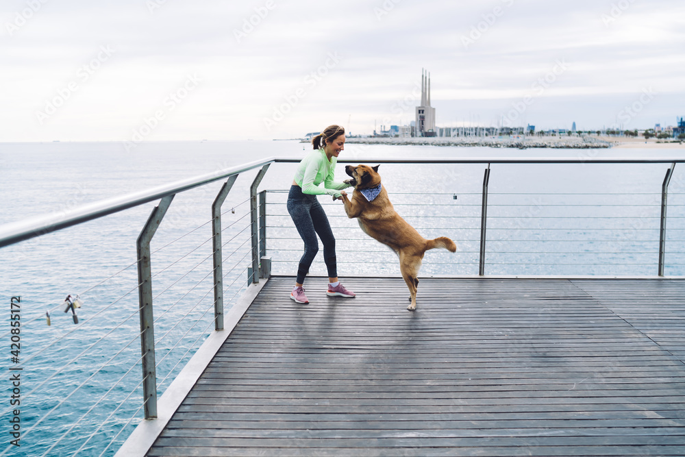 Cheerful fit girl in sportswear having fun with lovely pet during morning dog walking at seashore pier,joyful woman with cute doggie enjoying leisure time for playing and training during outdoors game