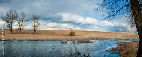 Trees and dry reeds and blue skies are reflected in the pond in early spring....