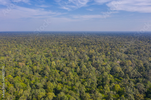 Panorama aerial view over the last untouched asian rainforest. The jungle extends to the horizon. Lush vegetation and green treetops. Habitat for countless wild endangered animal species © Holger