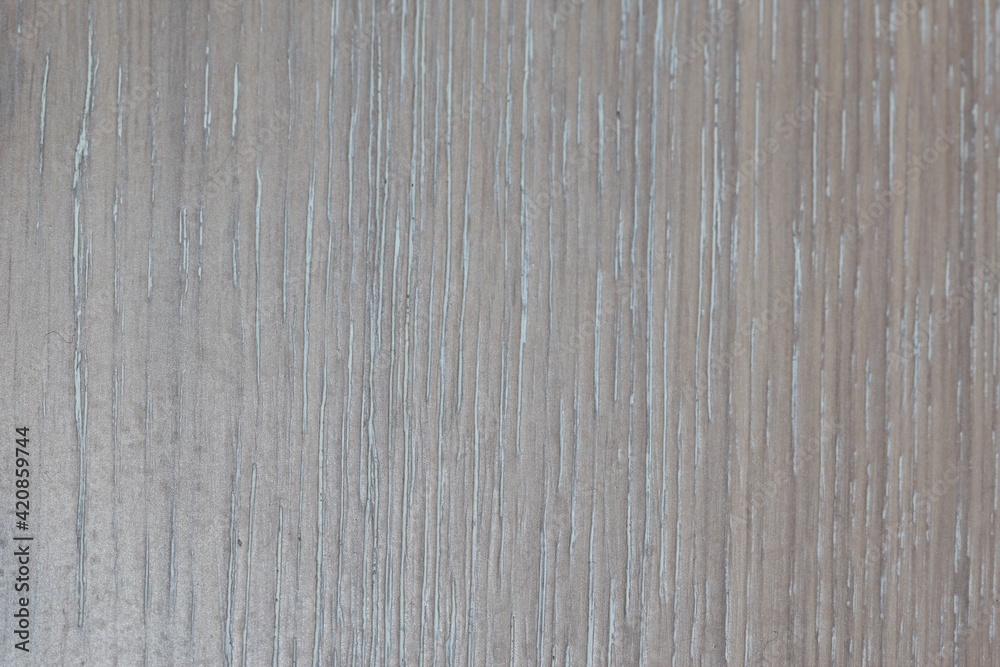 Obraz premium Gray background with wooden texture. Closeup of a rustic gray wood texture background. Copy space. Gray natural wood with grains for background and texture