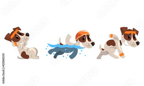Cute Sportive Jack Russell Terrier Doing Sit-ups and Swimming Vector Set