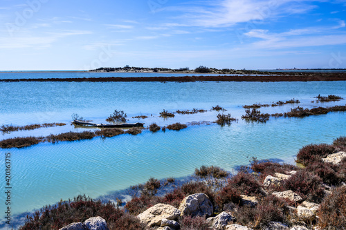 Paysage de Camargue