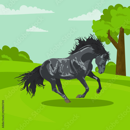 beautiful black horse. gray horse on the background of nature. Horseback riding. farm. poster card with horses