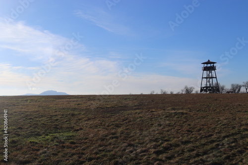 A view to the wooden lookout tower on the horizon from the meadow at Hustopece, Czech republic photo