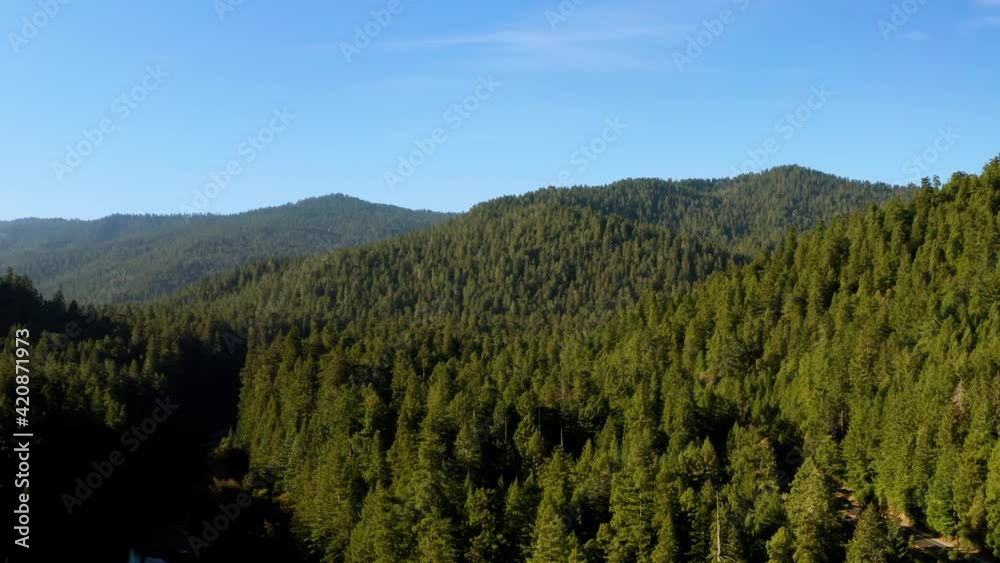 California Redwoods Aerial 3
